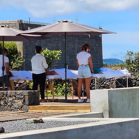 Willa As Casas Da Vinha Criacao Velha Zewnętrze zdjęcie